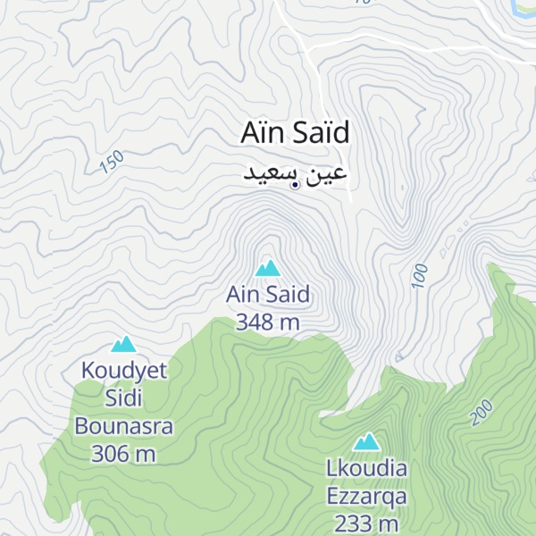 Map of Ain Said