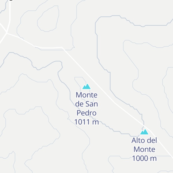 Map of Monte de San Pedro