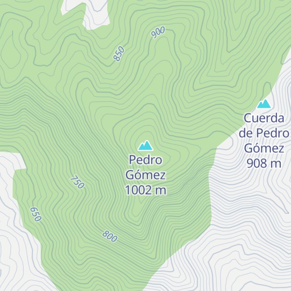 Map of Pedro Gómez