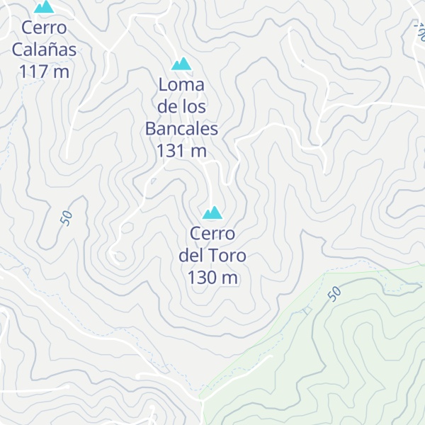 Map of Cerro del Toro