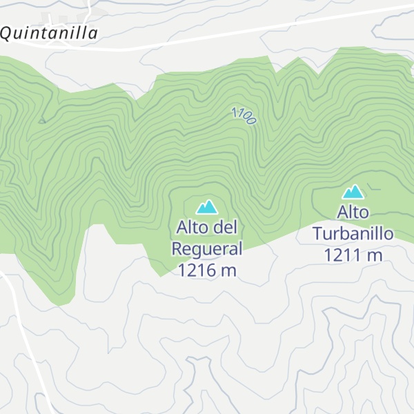 Map of Alto del Regueral