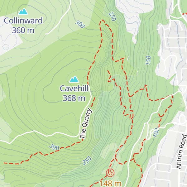 Map of McArt's Fort