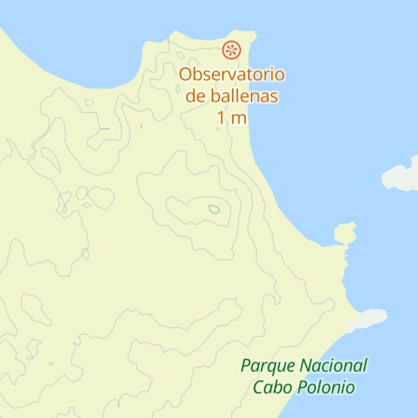 Map of Cerro Buena Vista