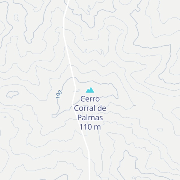 Map of Cerro Corral de Palmas