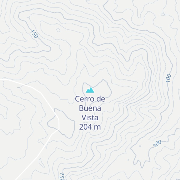 Map of Cerro de Buena Vista