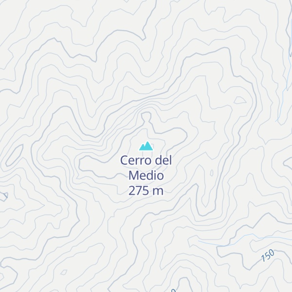 Map of Cerro del Medio