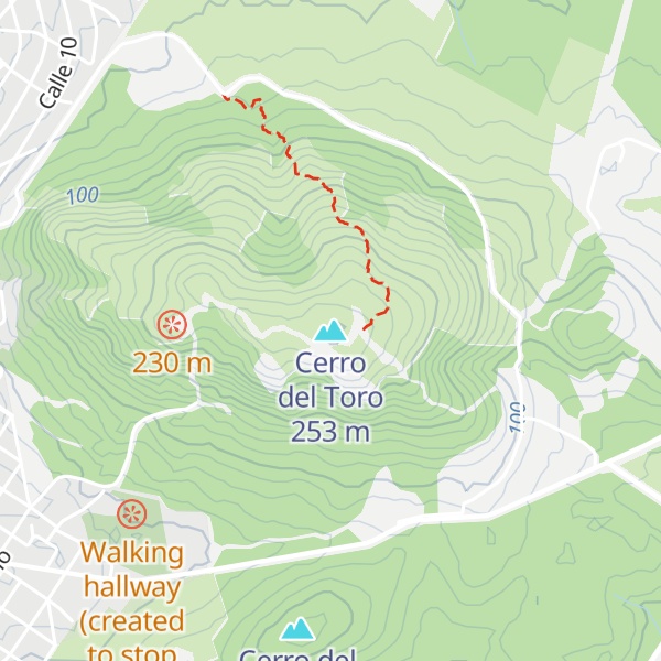 Map of Cerro del Toro