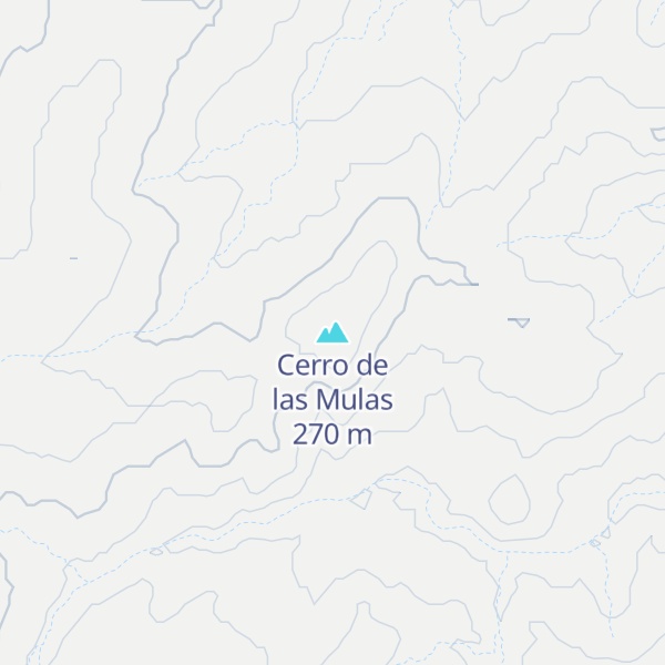 Map of Cerro de las Mulas