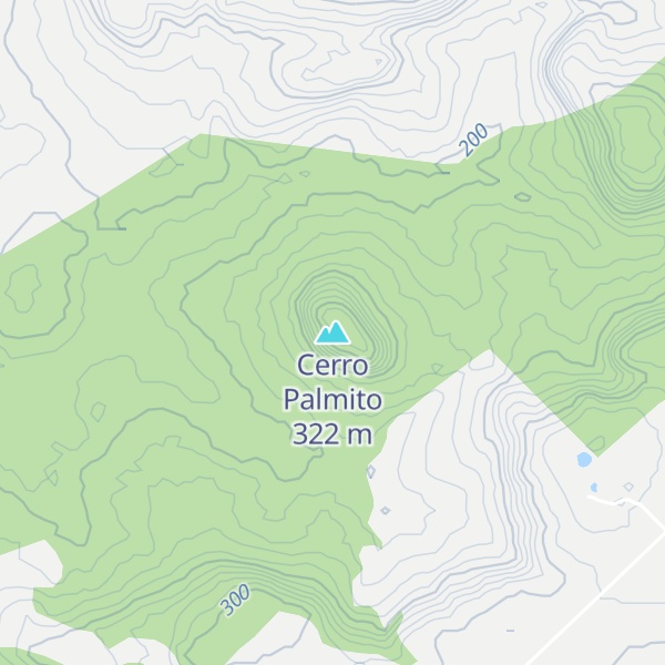 Map of Cerro Palmito