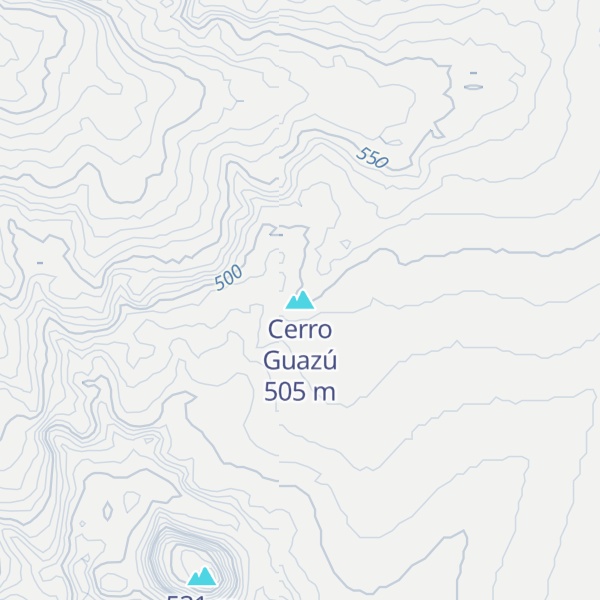 Map of Cerro Guazú