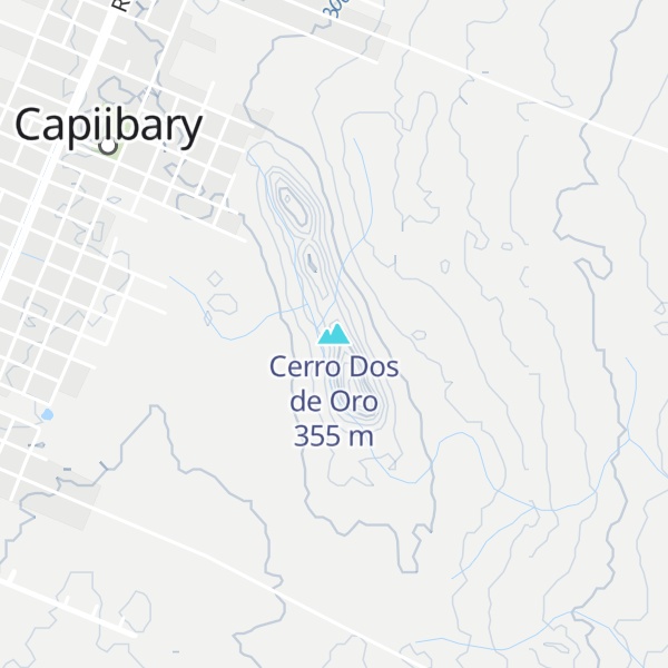 Map of Cerro Dos de Oro