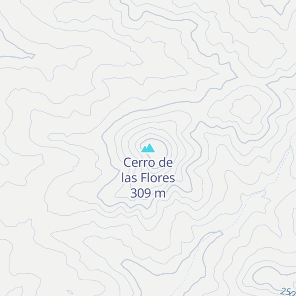 Map of Cerro de las Flores
