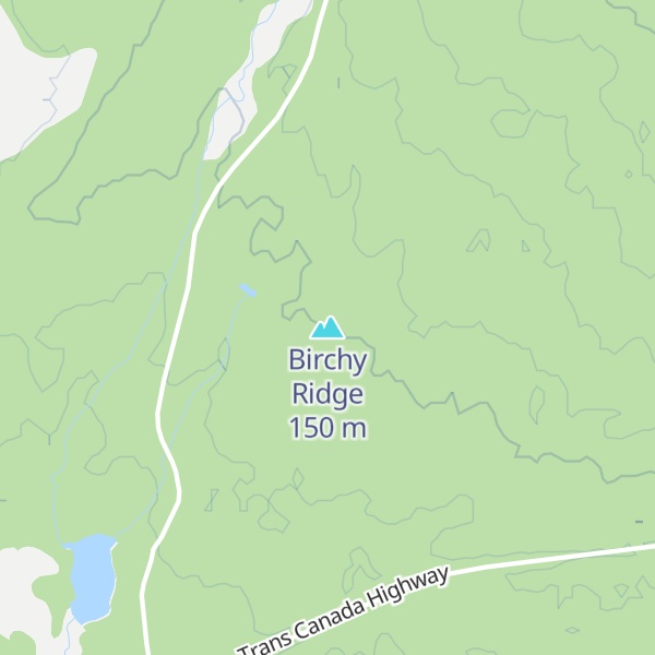 Map of Birchy Ridge