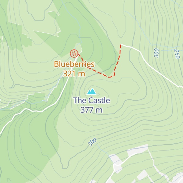 Map of The Castle