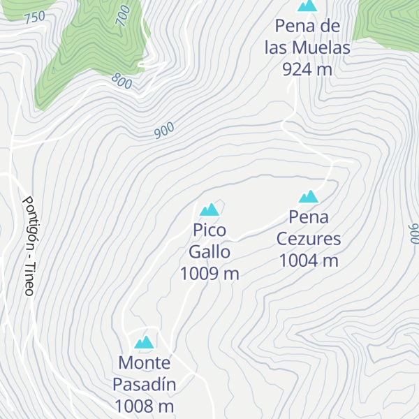 Map of Pico Gallo