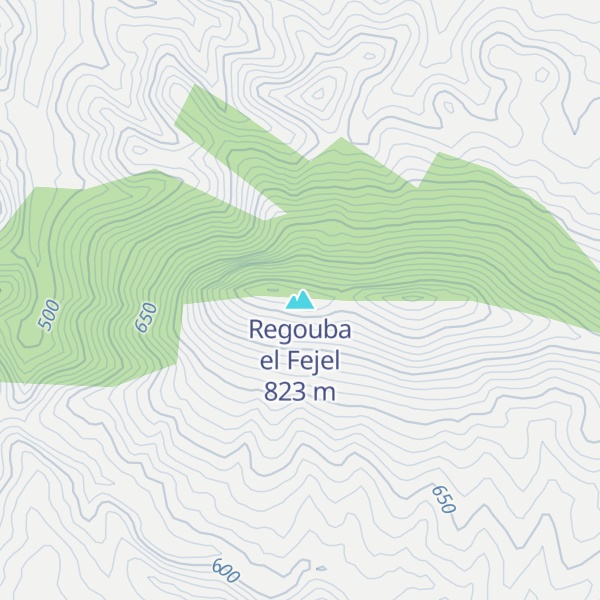 Map of Regouba el Fejel