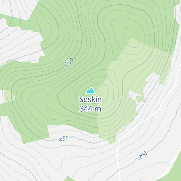 Map of Seskin
