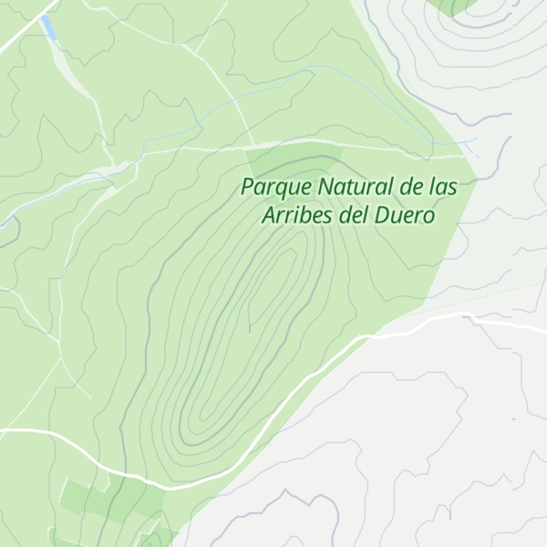 Map of Cerro de Homomula
