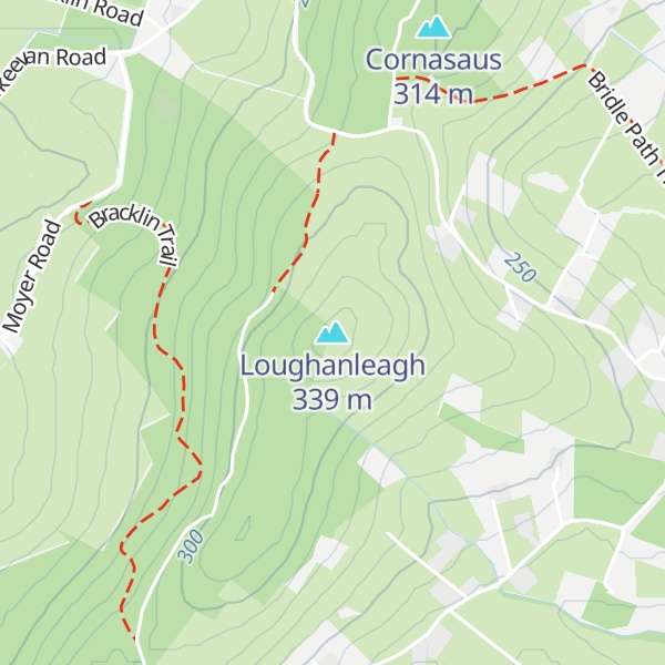 Map of Loughanleagh
