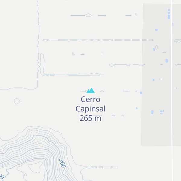 Map of Cerro Capinsal
