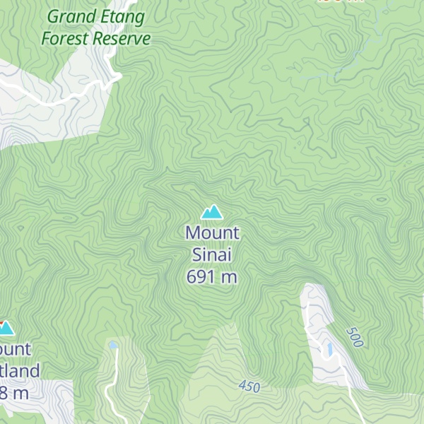 Map of Mount Sinai