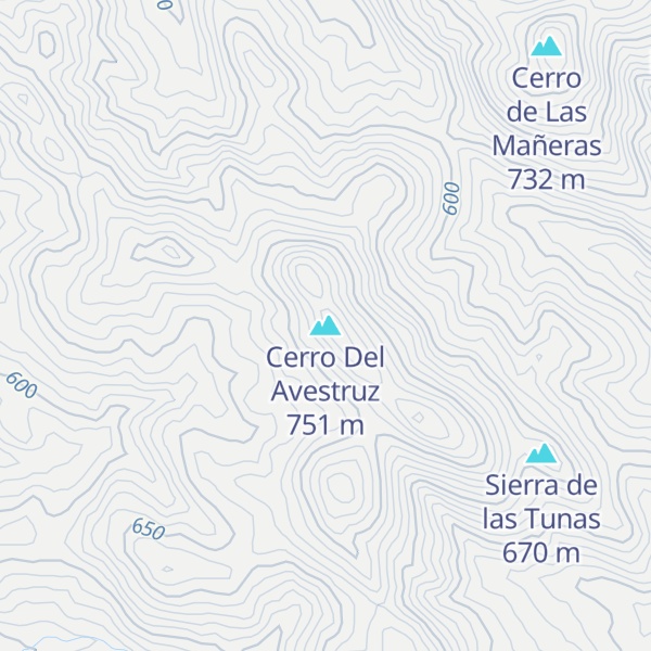 Map of Cerro Del Avestruz