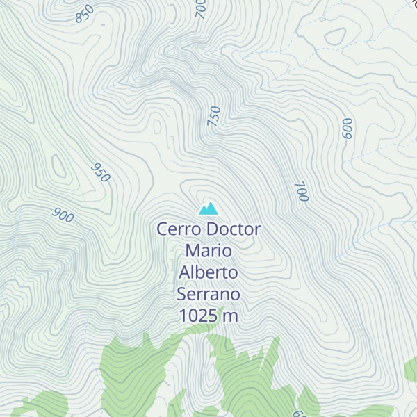 Map of Cerro Doctor Mario Alberto Serrano