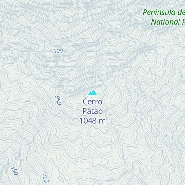 Map of Cerro Patao