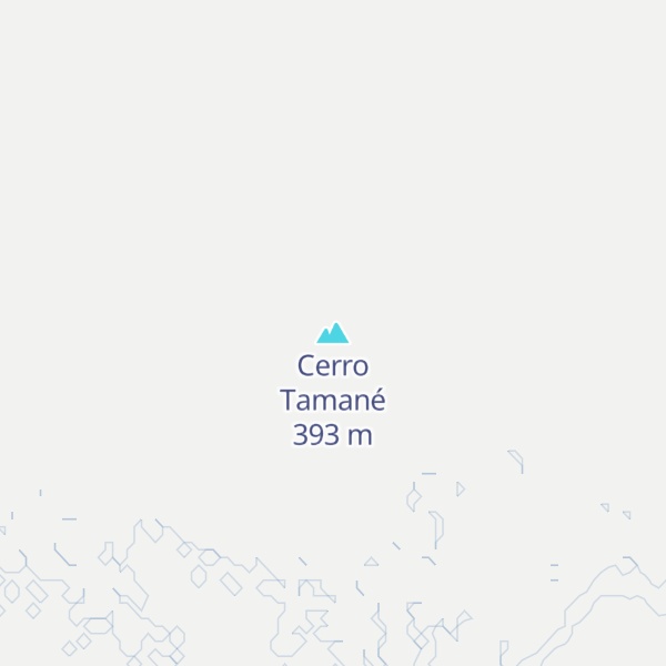 Map of Cerro Tamané