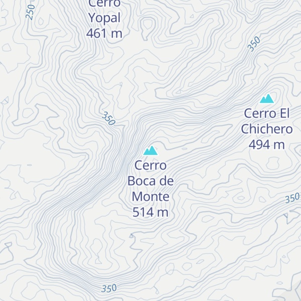 Map of Cerro Boca de Monte