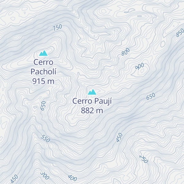 Map of Cerro Paují