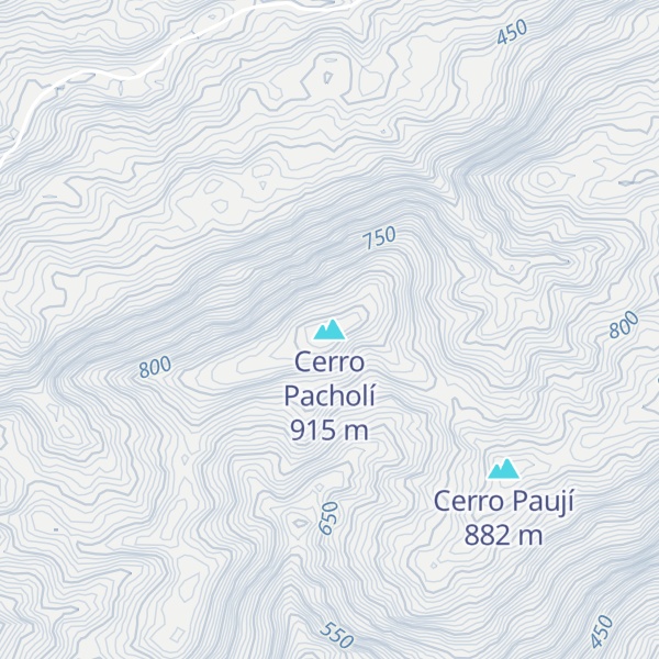 Map of Cerro Pacholí