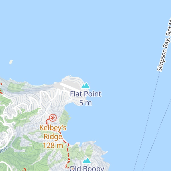 Map of Flat Point