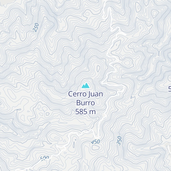 Map of Cerro Juan Burro