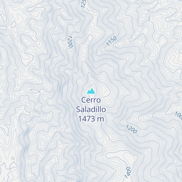 Map of Cerro Saladillo