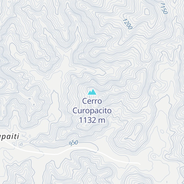Map of Cerro Curopacito