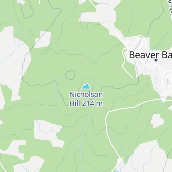 Map of Nicholson Hill