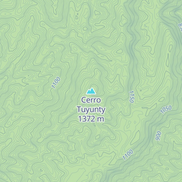 Map of Cerro Tuyunty