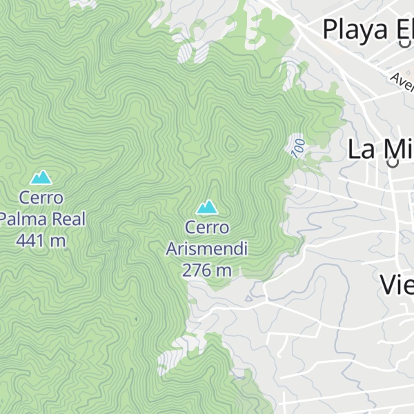 Map of Cerro Arismendi