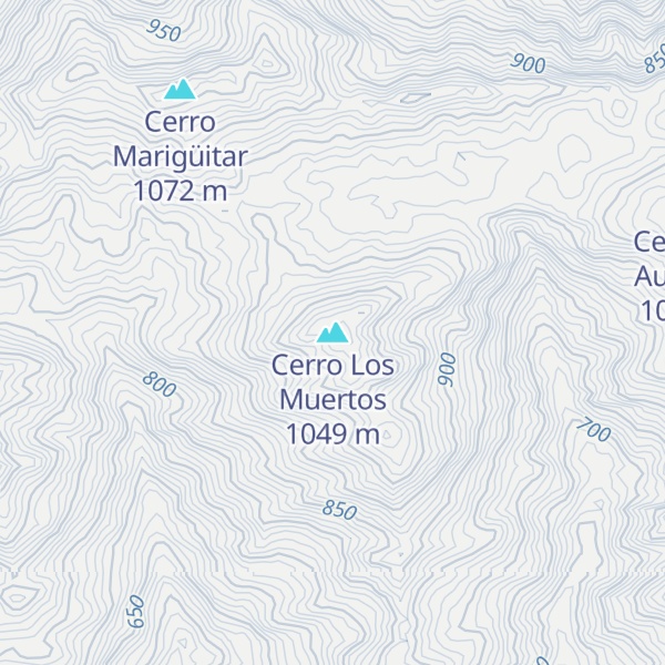 Map of Cerro Los Muertos