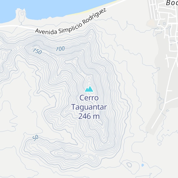 Map of Cerro Taguantar