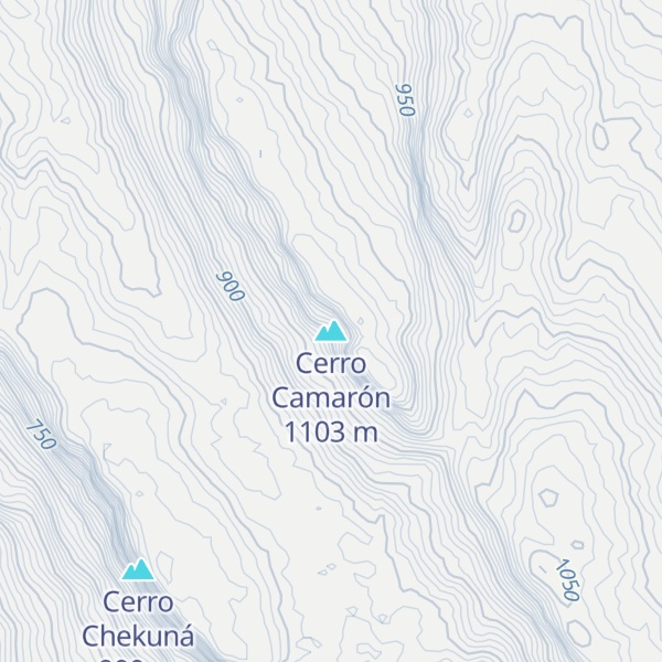Map of Cerro Camarón