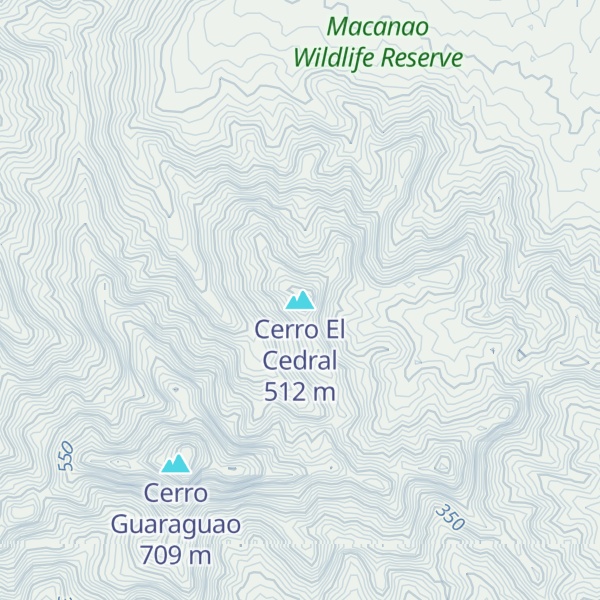 Map of Cerro El Cedral