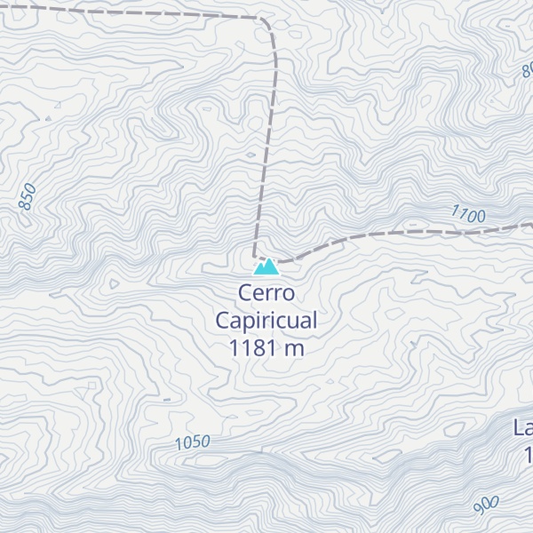 Map of Cerro Capiricual