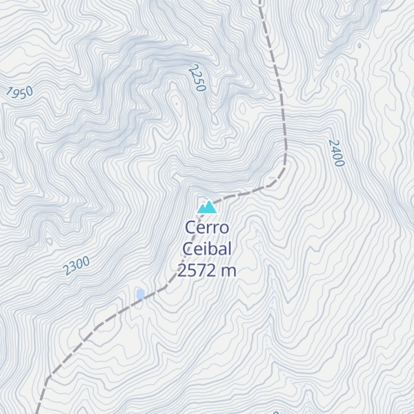 Map of Cerro Ceibal