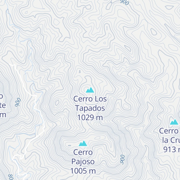 Map of Cerro Los Tapados
