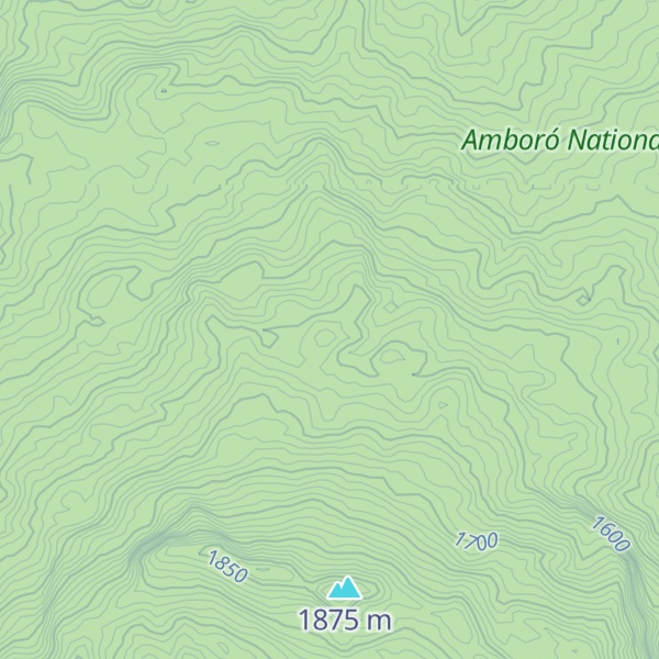 Map of Cerro Bravo