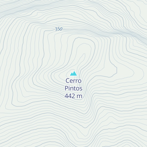 Map of Cerro Pintos