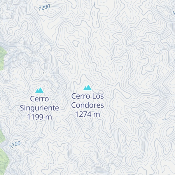 Map of Cerro Los Condores