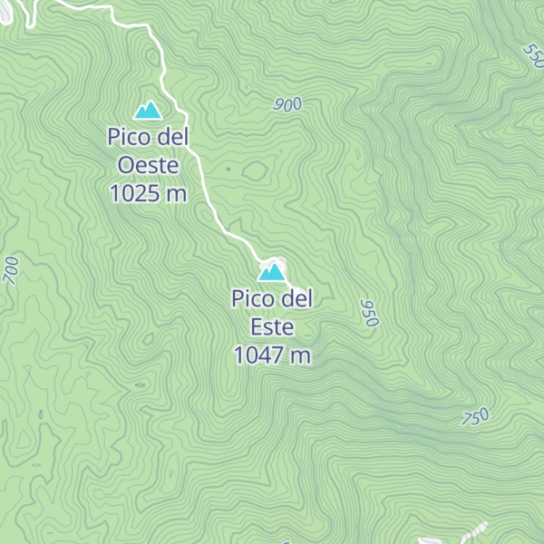 Map of Pico del Este